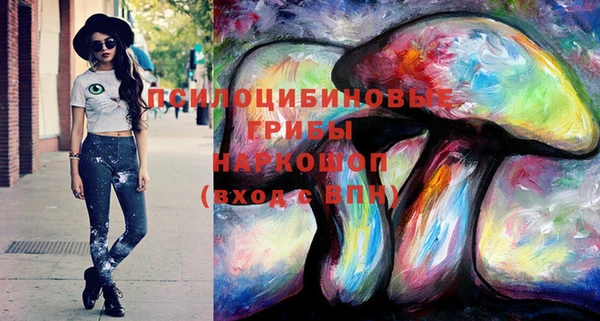 ПСИЛОЦИБИНОВЫЕ ГРИБЫ Белокуриха