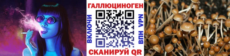 Галлюциногенные грибы мухоморы  Донской 